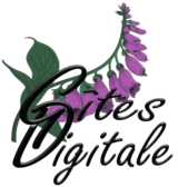 logo_Gites_digitale