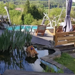 gite dans les Vosges pour 12 personnes avec une piscine