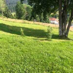 le_logis_