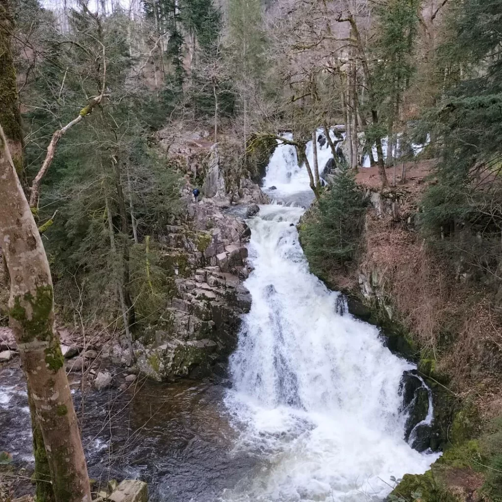 une des plus belle cascade des Vosges