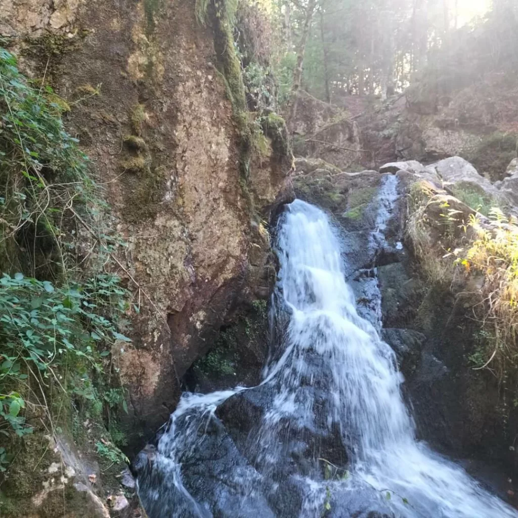 cascade de tendon