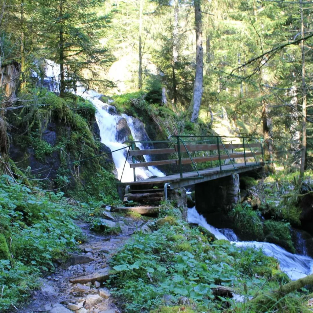 cascade en Alsace près de Munster