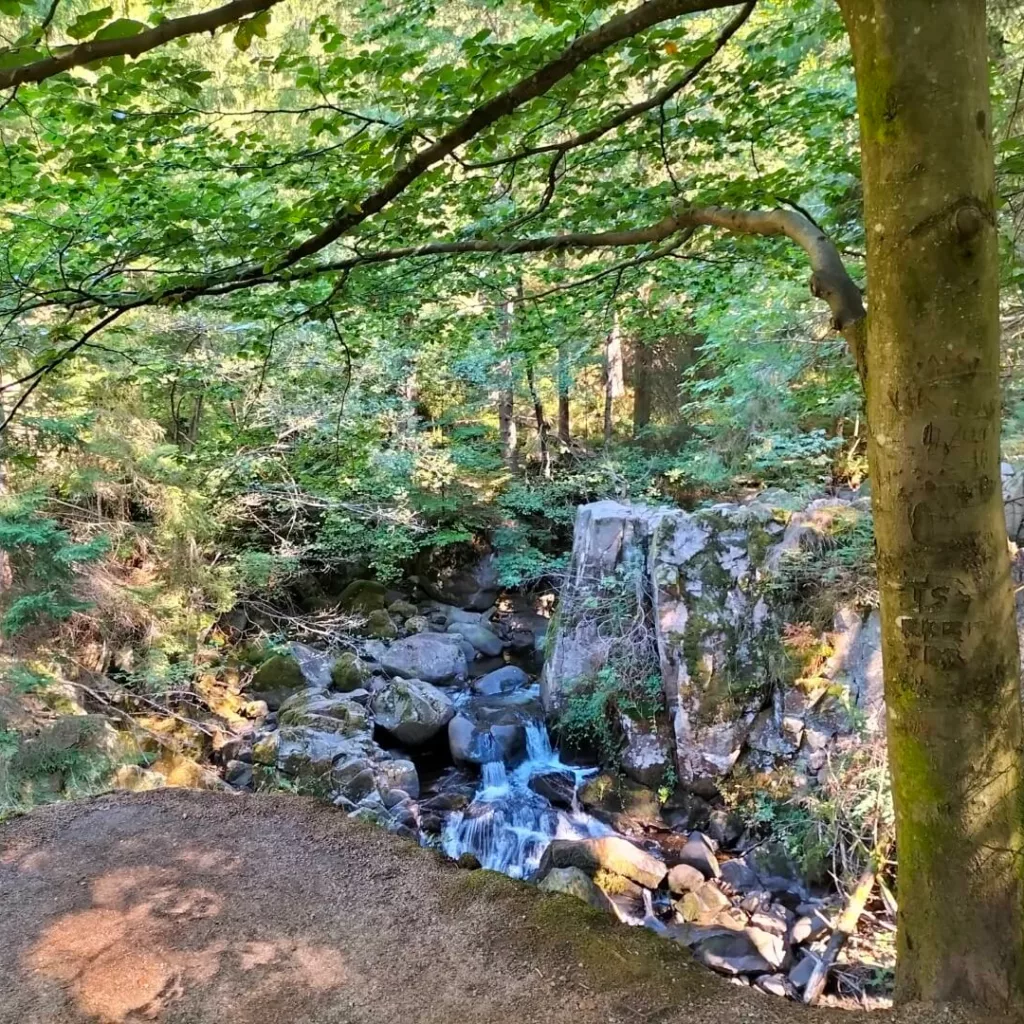 le saut des cuves à la sortie de Gérardmer