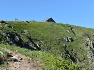 Le Hohneck en été