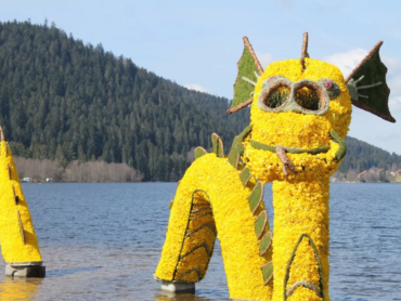 fête des jonquilles au lac de Gérardmer