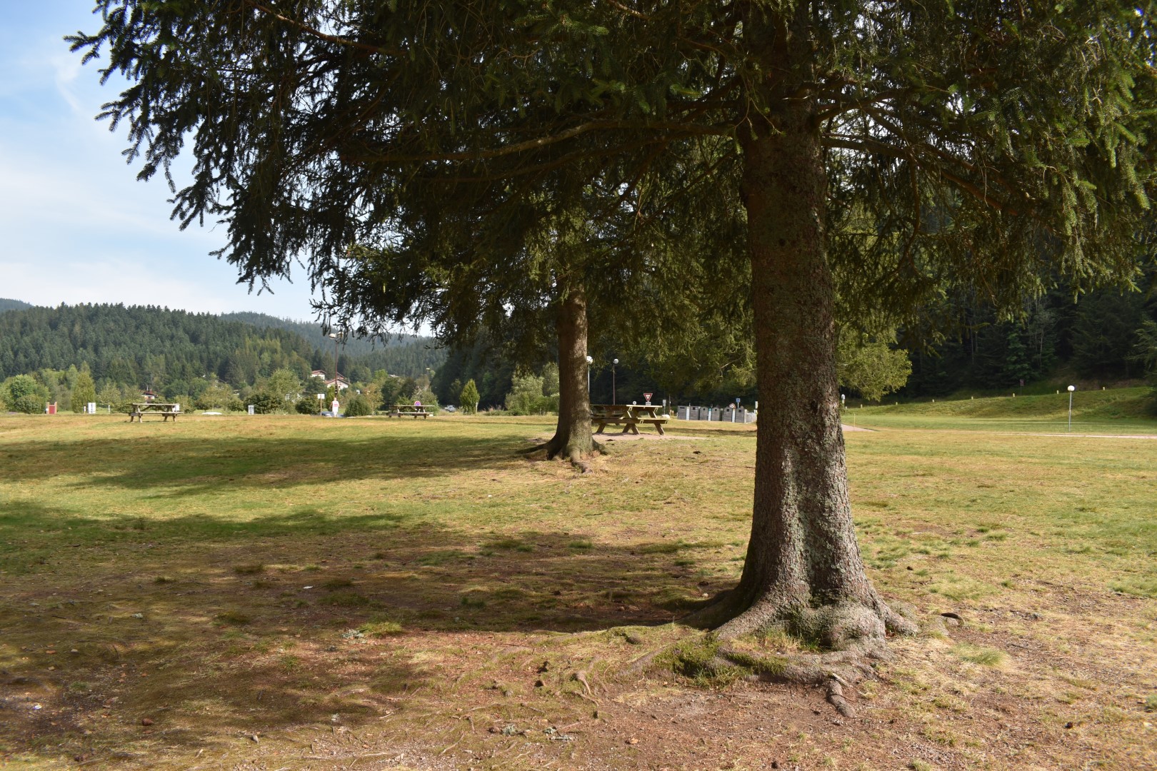 bel endroit ombragé pour faire un piquenique dans les Vosges