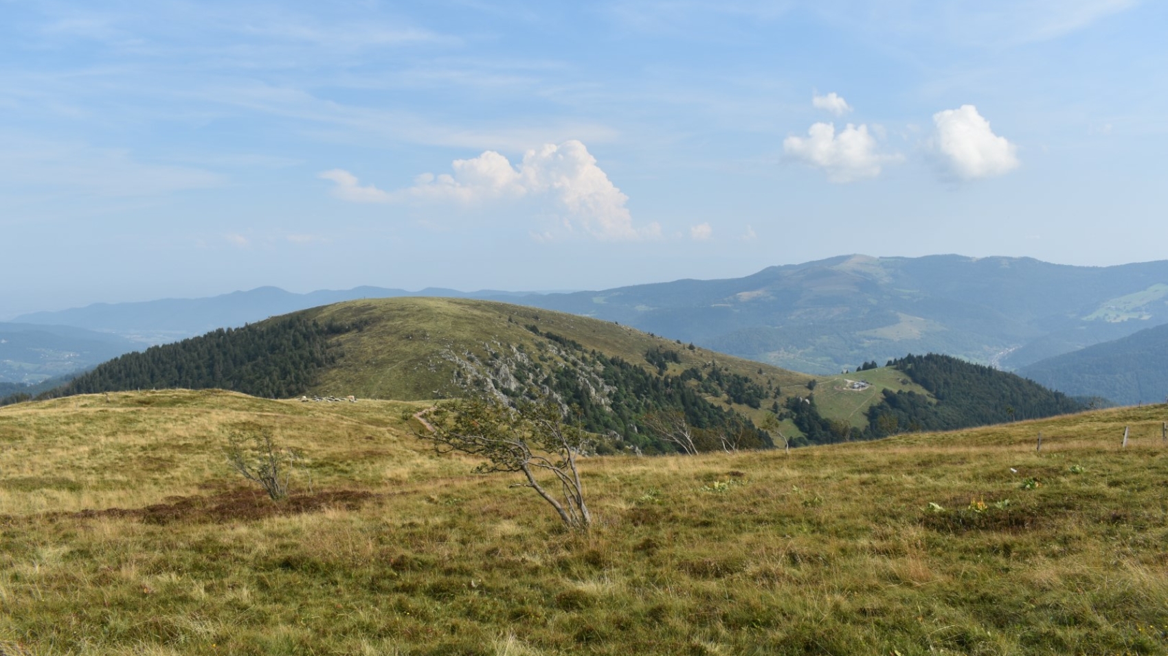 l'été dans les Hautes-Vosges