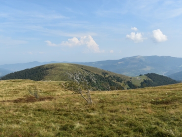 l'été dans les Hautes-Vosges