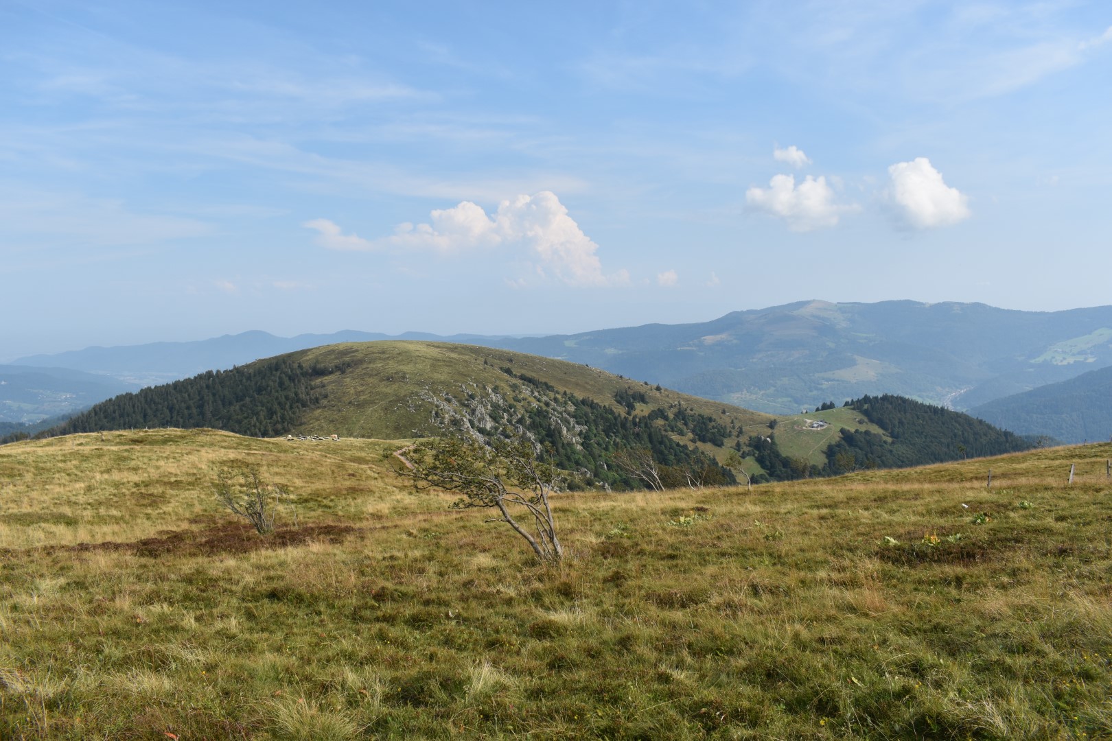 l'été dans les Hautes-Vosges