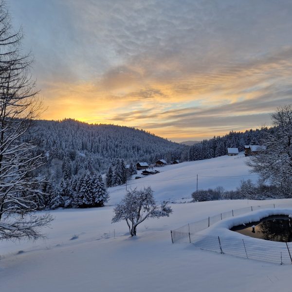 Gite dans les Hautes-Vosges pour vacances au ski